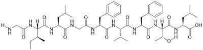 Matriks Protein M1 (58-66) (Virus Influenza A)