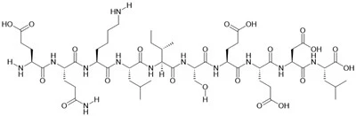 Peptida Epitop Myc