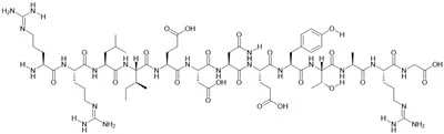 Situs Autofosforilasi Pp60(v-SRC), Substrat Protein Tirosin Kinase
