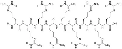 R9 Peptida
