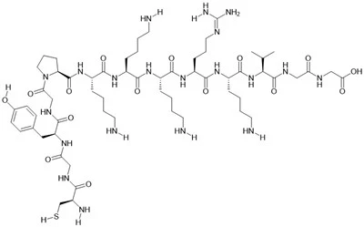 Analog Peptida Sinyal Transportasi Nuklir SV40