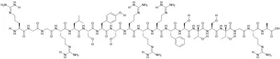 SynB1 Peptida